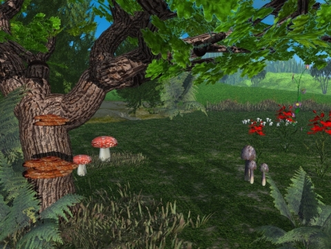 myske_mushroom_forest.jpg 324.8K